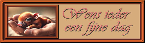 Set-Erg klein-fijne…