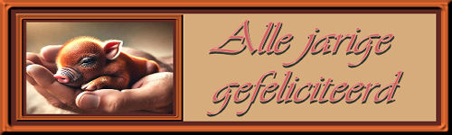 Set-Erg klein-jarig…